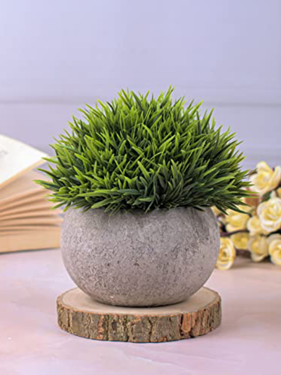 

Perpetual Grey & Green Artificial Beautiful Bonsai Plants With Pot