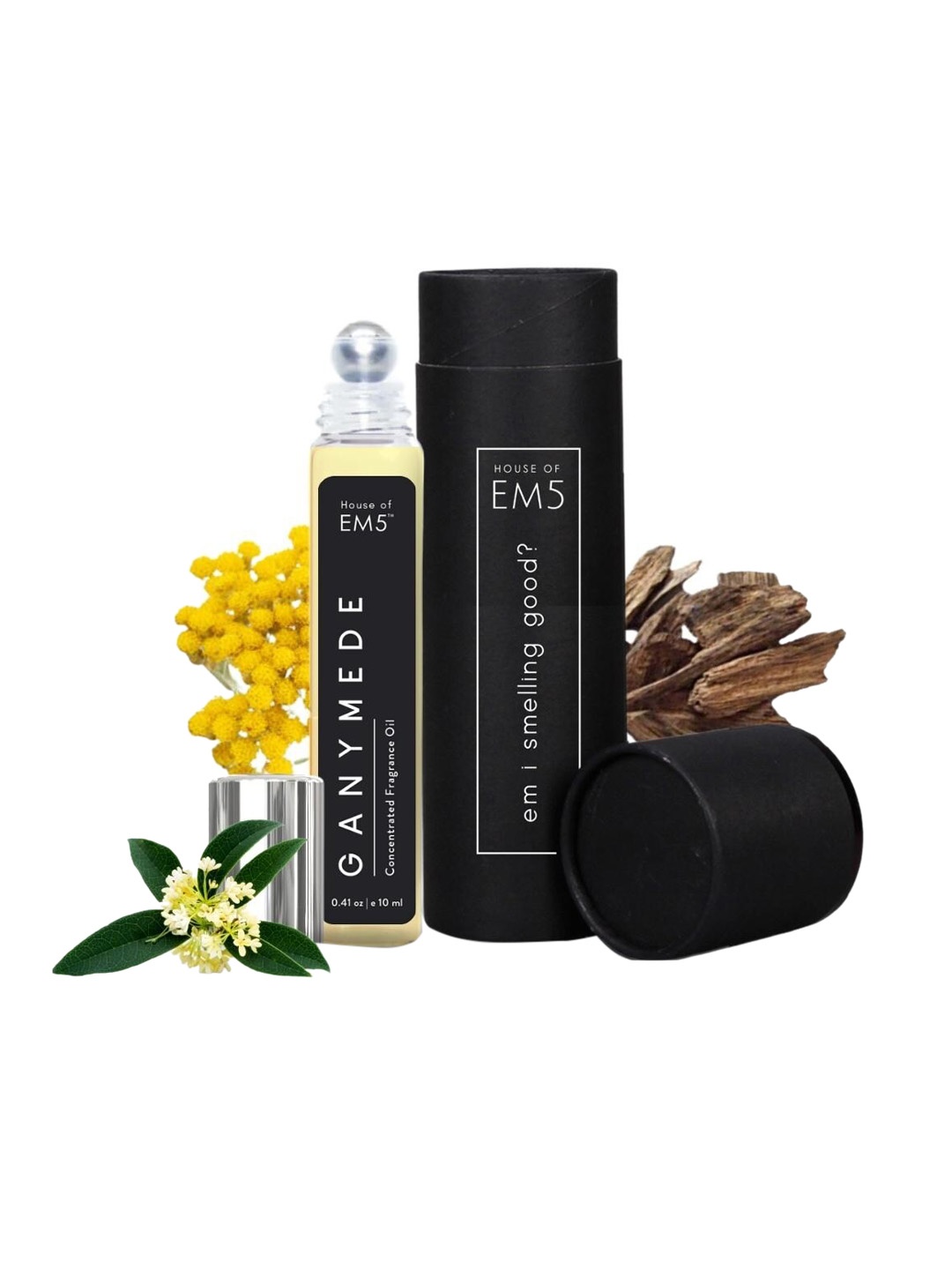 

EM5 Ganymede Alcohol-Free Perfume Roll-On - 10ml, Black