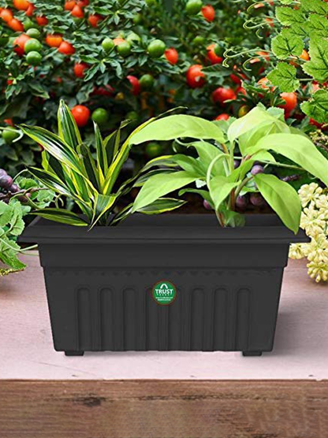 

TRUSTBASKET Black 3 Pieces UV Treated Planters