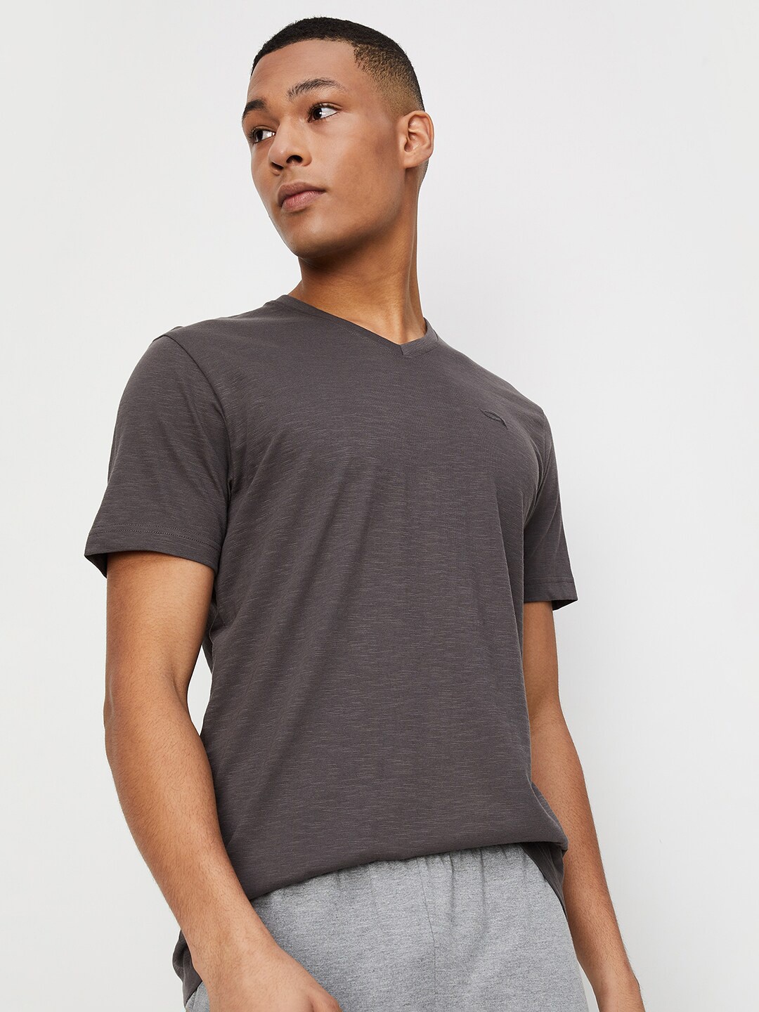 

max V-Neck Cotton Regular Fit T-shirt, Grey