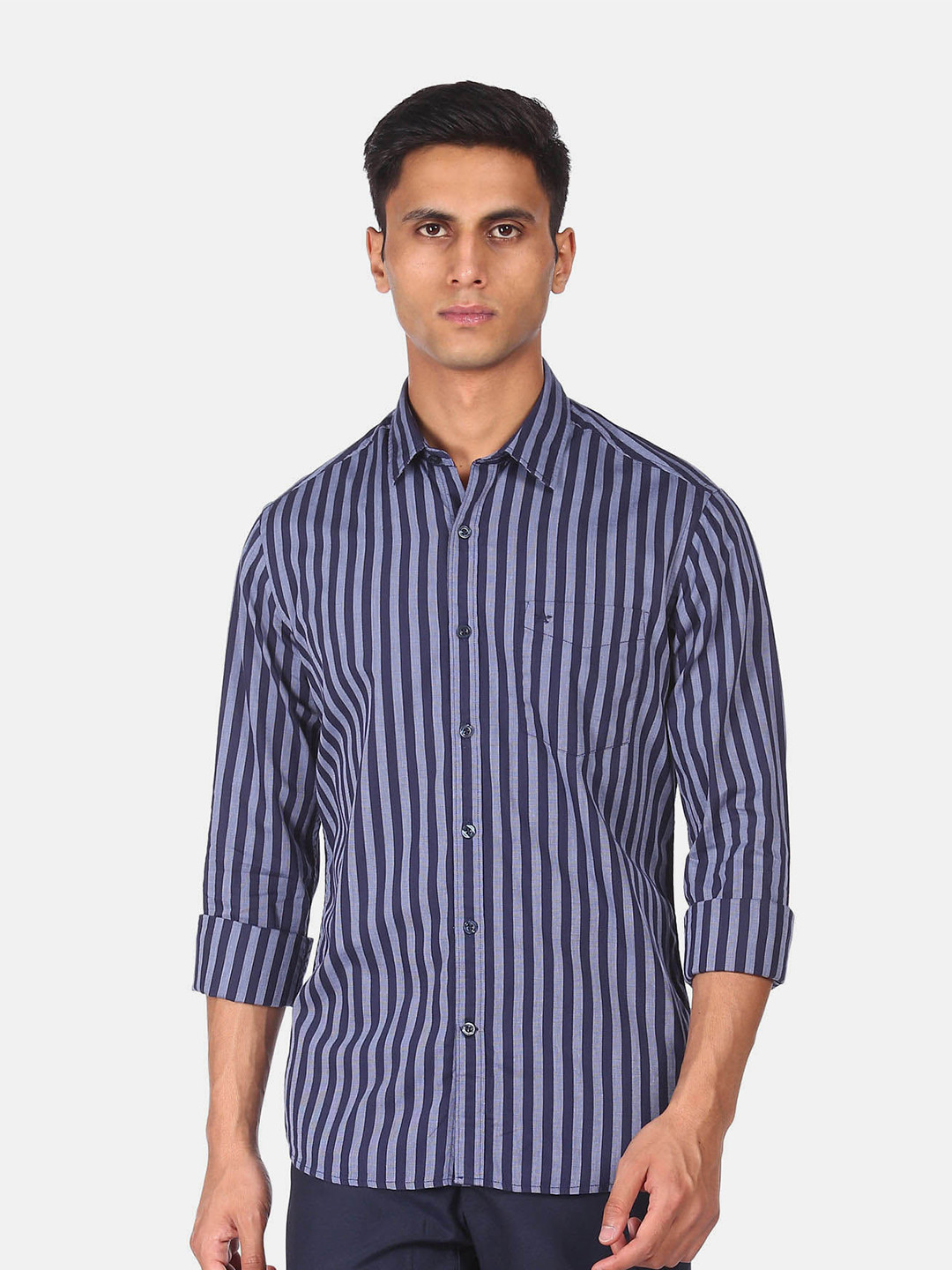 

Arrow Sport Striped Casual Shirt, Blue