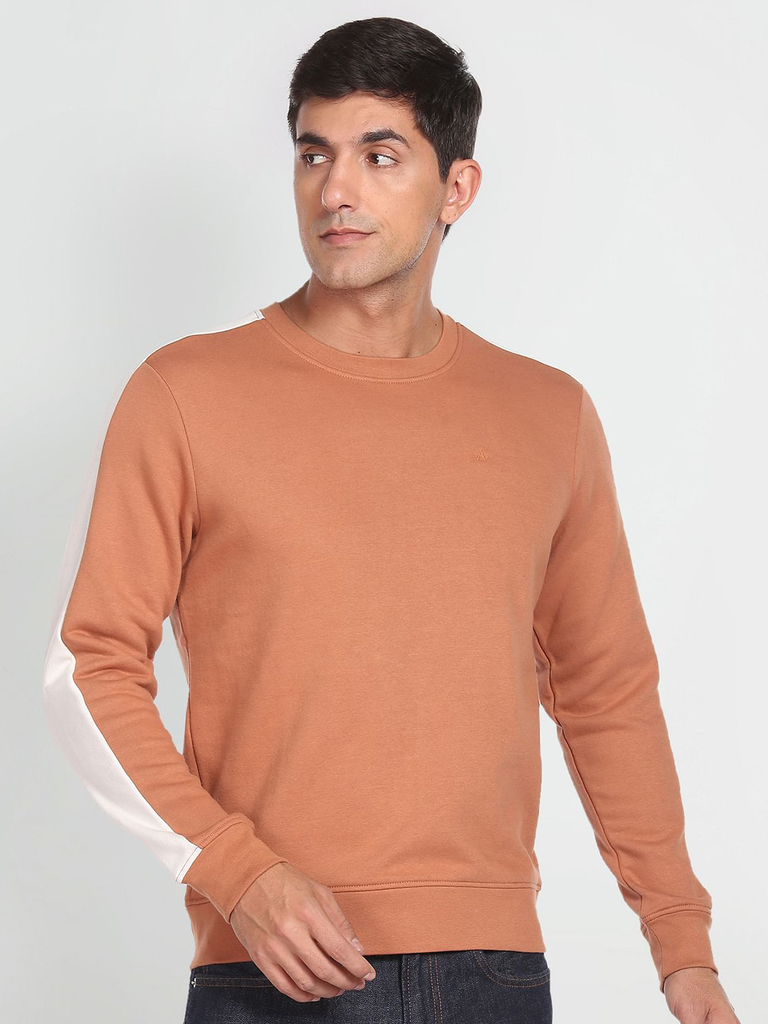 

Arrow Sport Round Neck Sweatshirt, Brown
