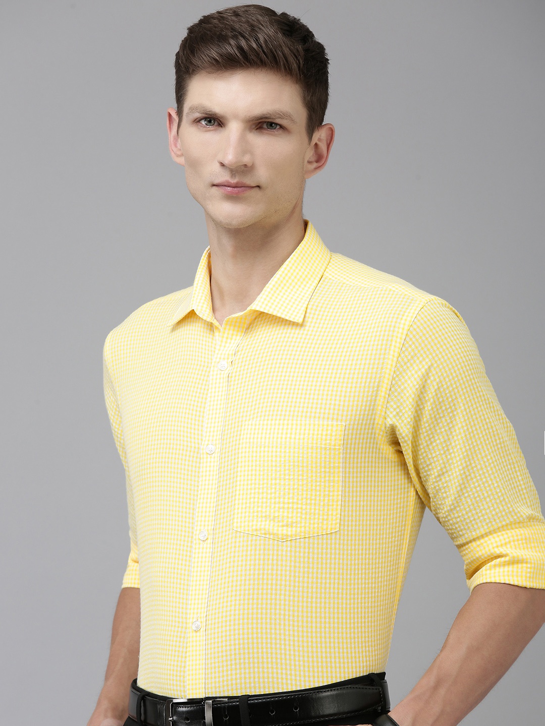 

Park Avenue Slim Fit Micro Checks Formal Shirt, Yellow