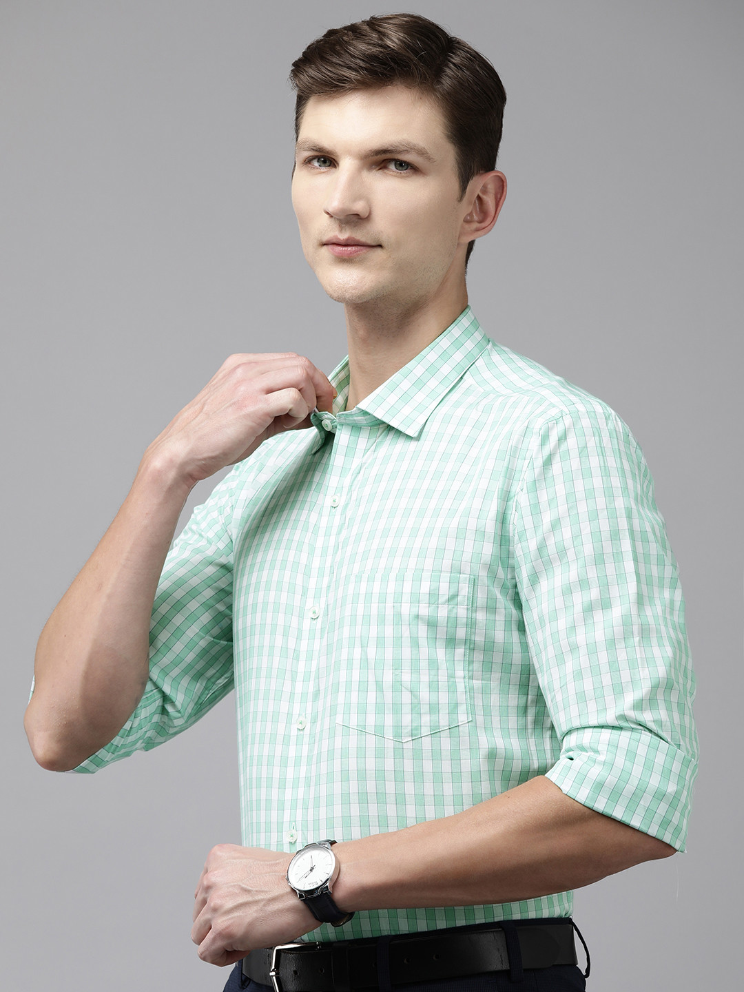 

Park Avenue Men Pure Cotton Slim Fit Gingham Checks Formal Shirt, Green