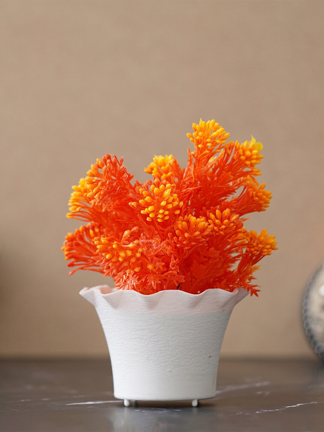 

eCraftIndia Orange-Coloured Orange Kangaroo Paws Plant With Pot