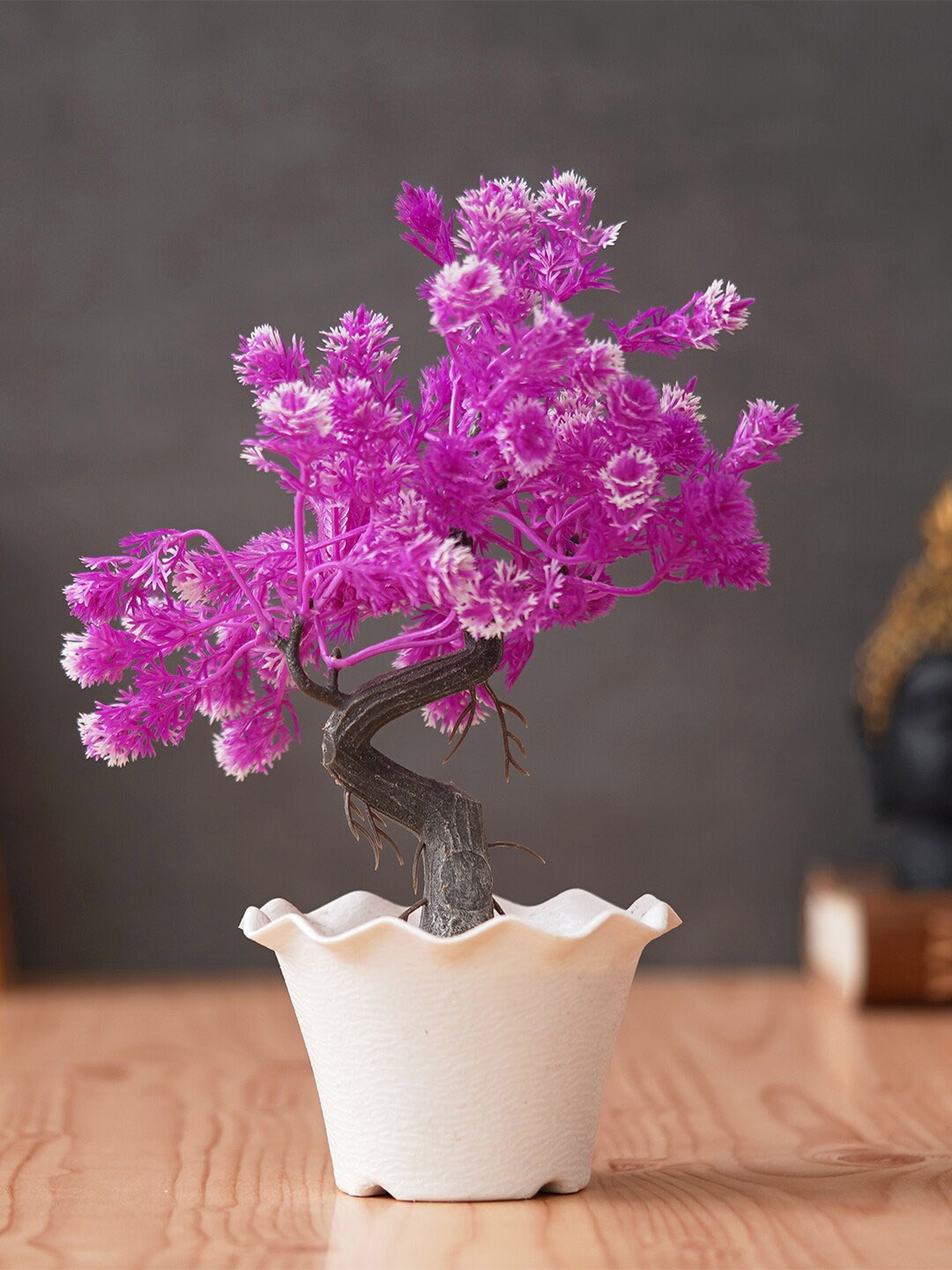 

eCraftIndia Purple Cock's Comb Plant With Pot