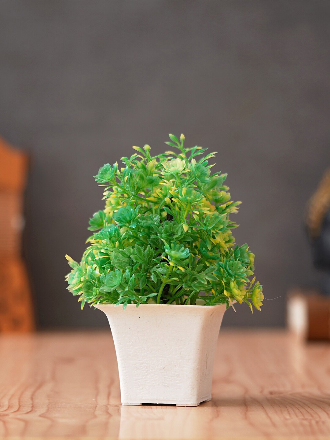 

eCraftIndia Green & White Bonsai Artificial Plant With Square Pot