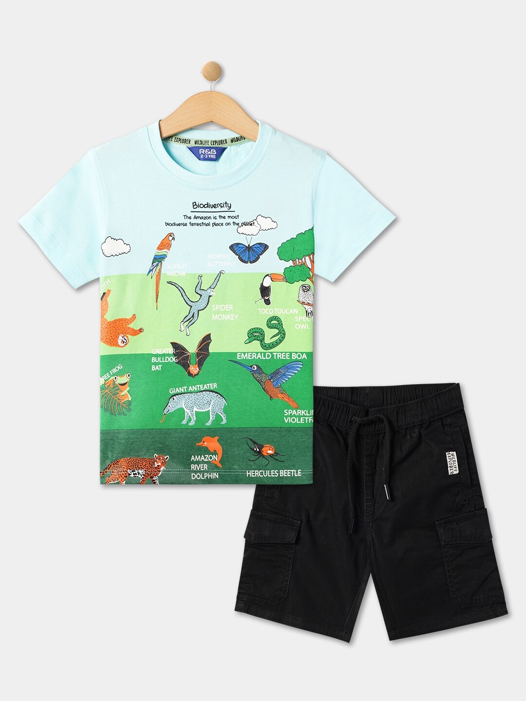 

R&B Boys Printed Pure Cotton T-shirt with Shorts, Green