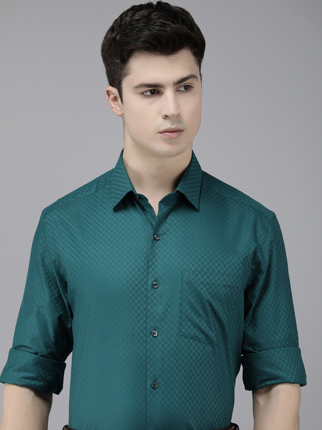 

Arrow Pure Cotton Self Design Textured Manhattan Slim Fit Formal Shirt, Green