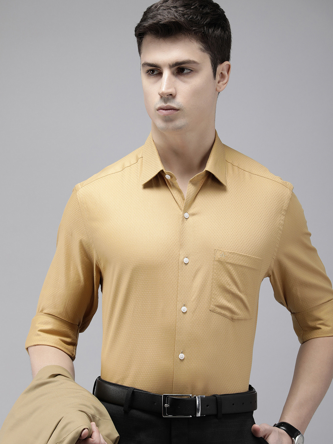 

Arrow Self Design Manhattan Slim Fit Pure Cotton Formal Shirt, Gold