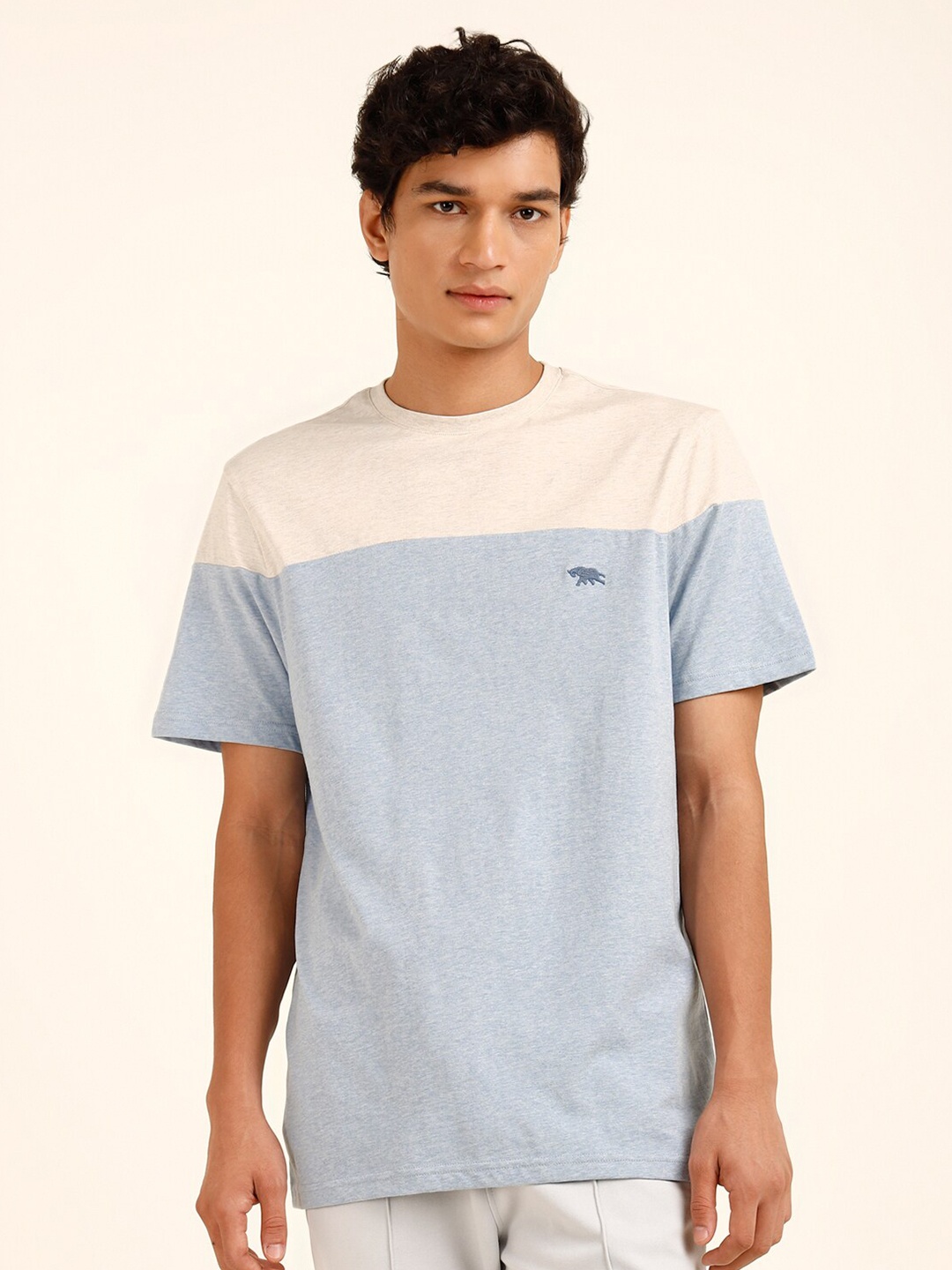 

Andamen Colourblocked Round Neck Pure Cotton T-shirt, Blue