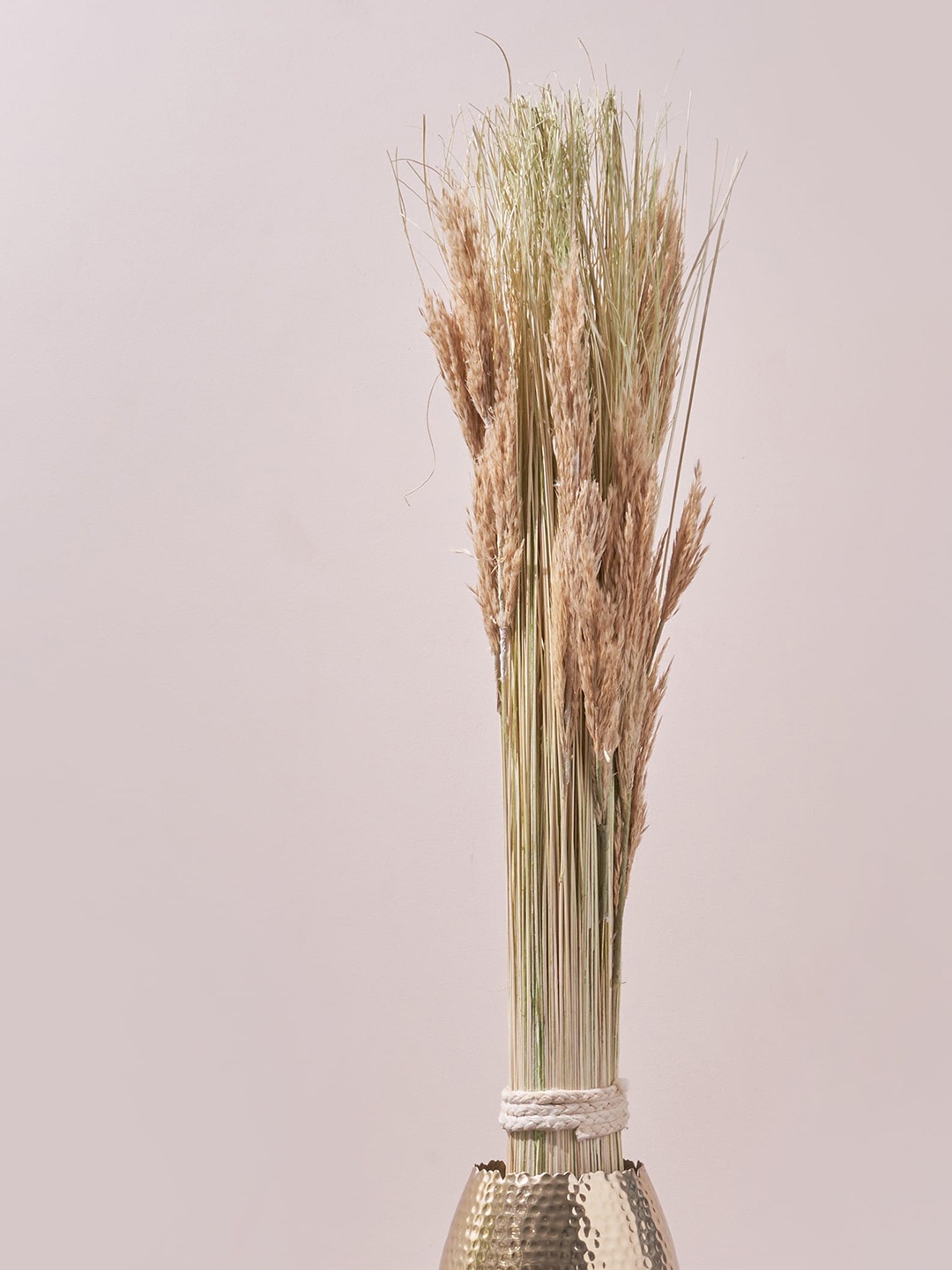 

Home Centre Pink & Beige Fern Living Dried Ting Ting Bunch