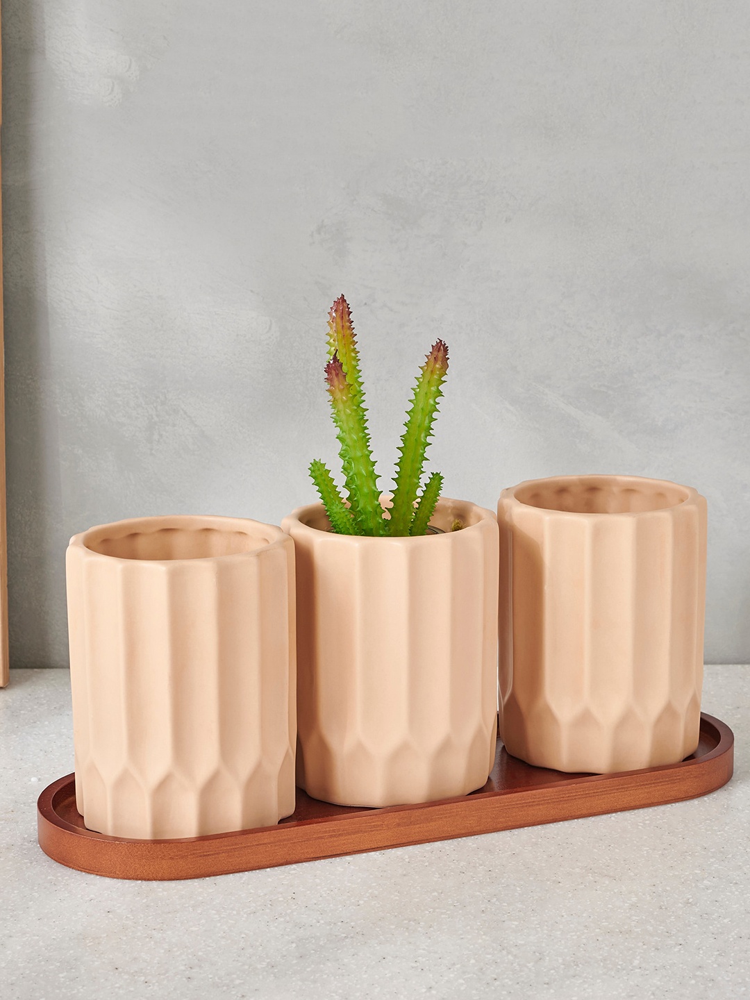 

Home Centre Gloria Beige 3 Pieces Textured Ceramic Planters With Tray