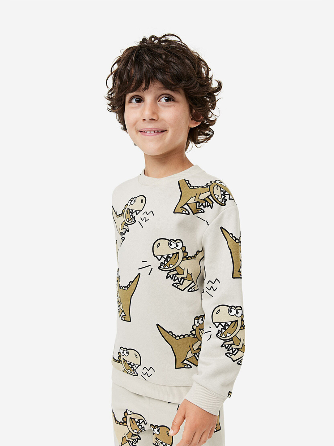 

H&M Boys Sweatshirts, Beige