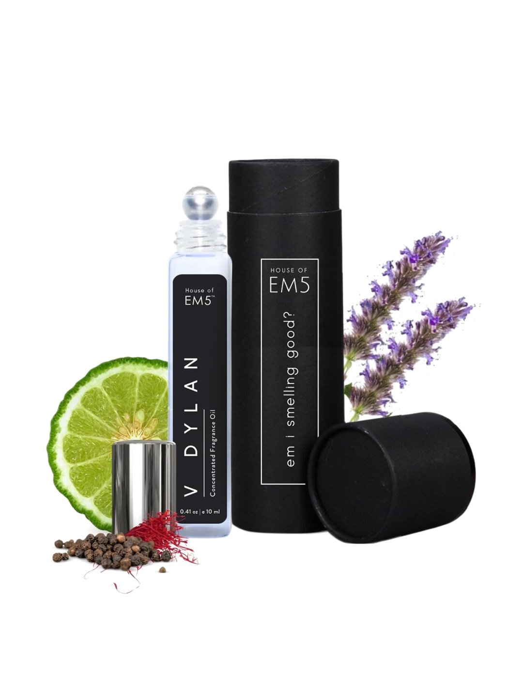 

EM5 V Dylan Men Alcohol-Free Long Lasting Perfume Roll On - 10ml, Transparent