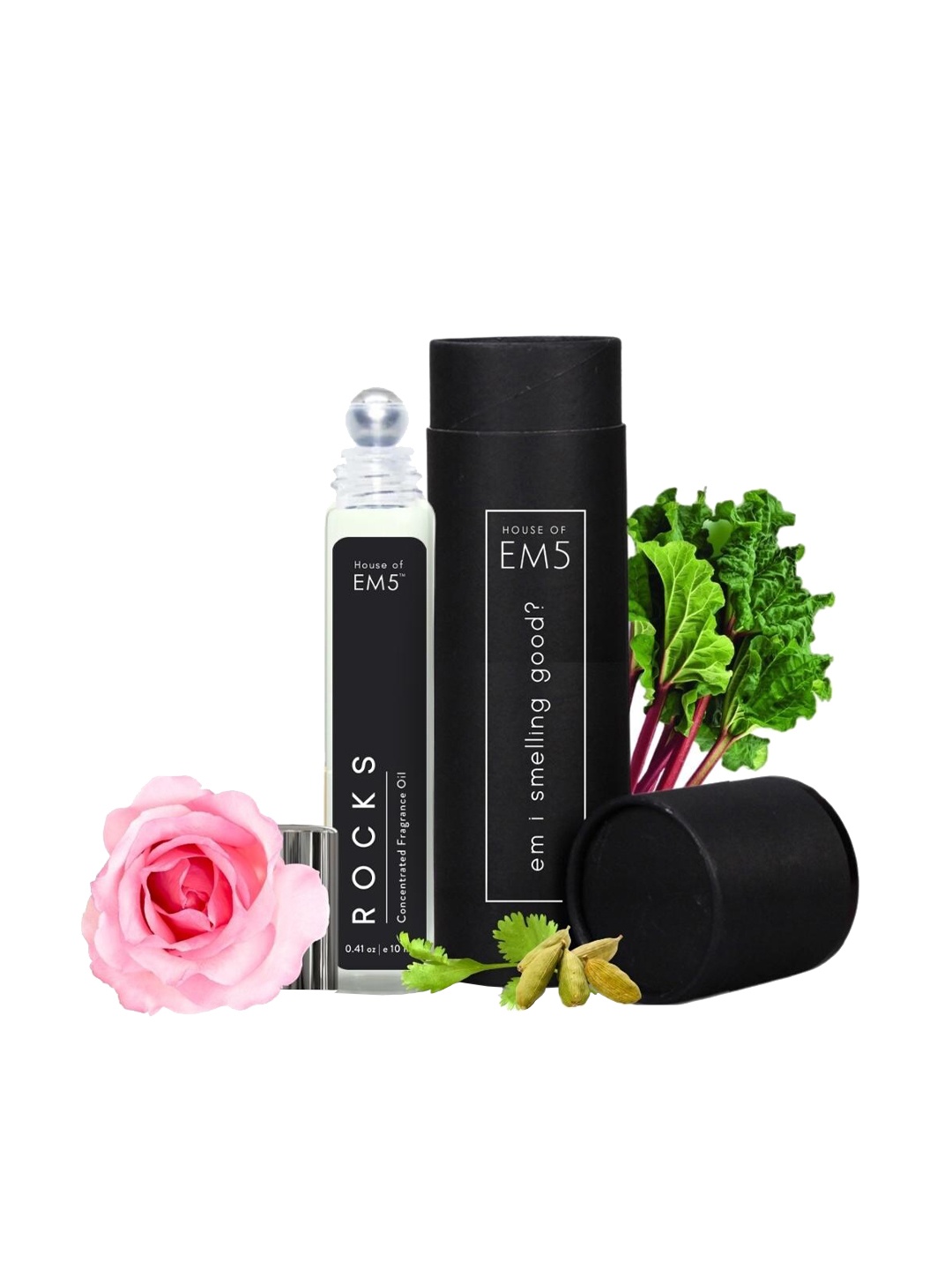 

EM5 Rocks Alcohol-Free Long Lasting Perfume Roll On - 10ml, Transparent