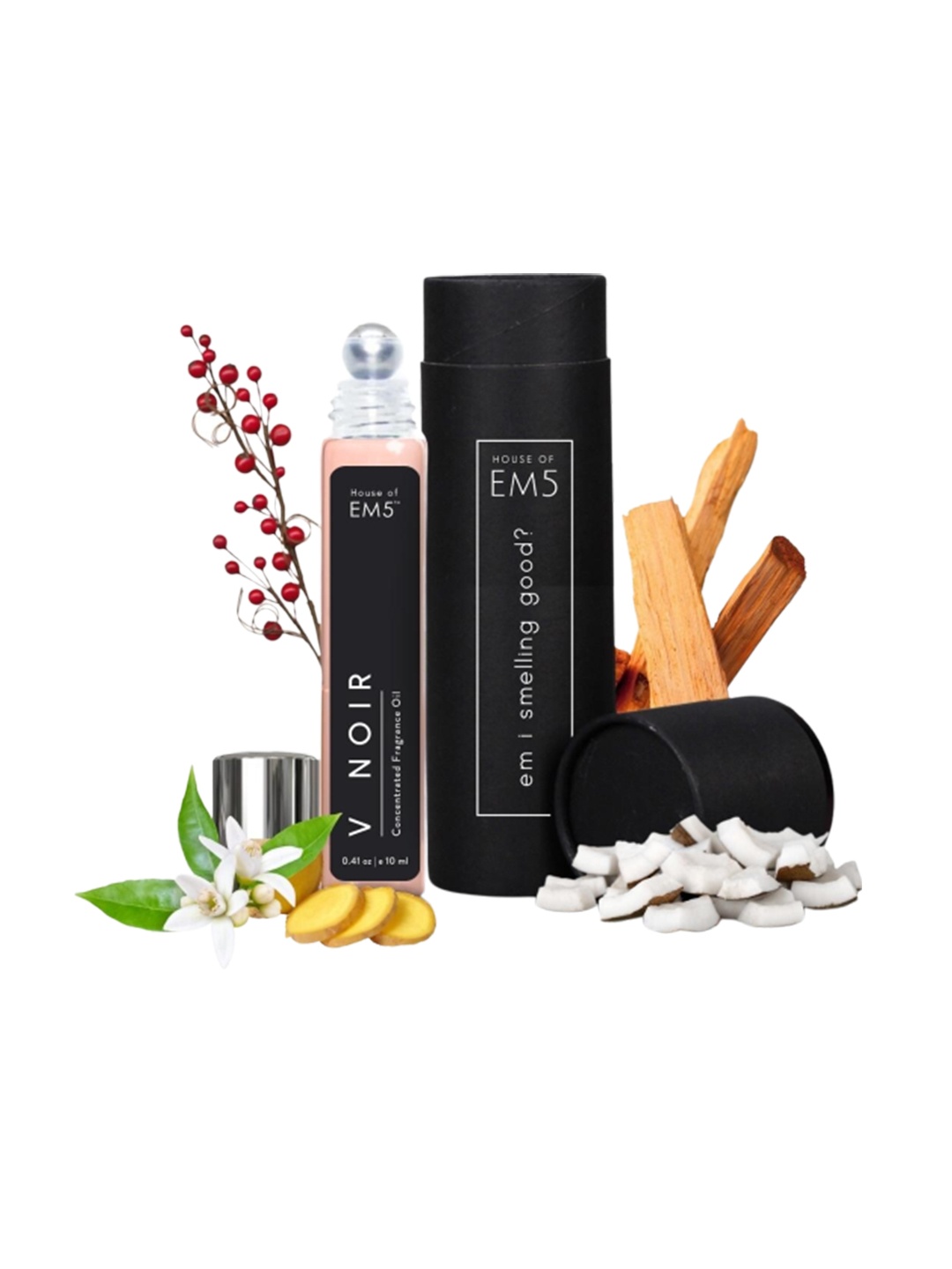 

EM5 V Noir Women Alcohol-Free Long Lasting Perfume Roll On - 10ml, Transparent
