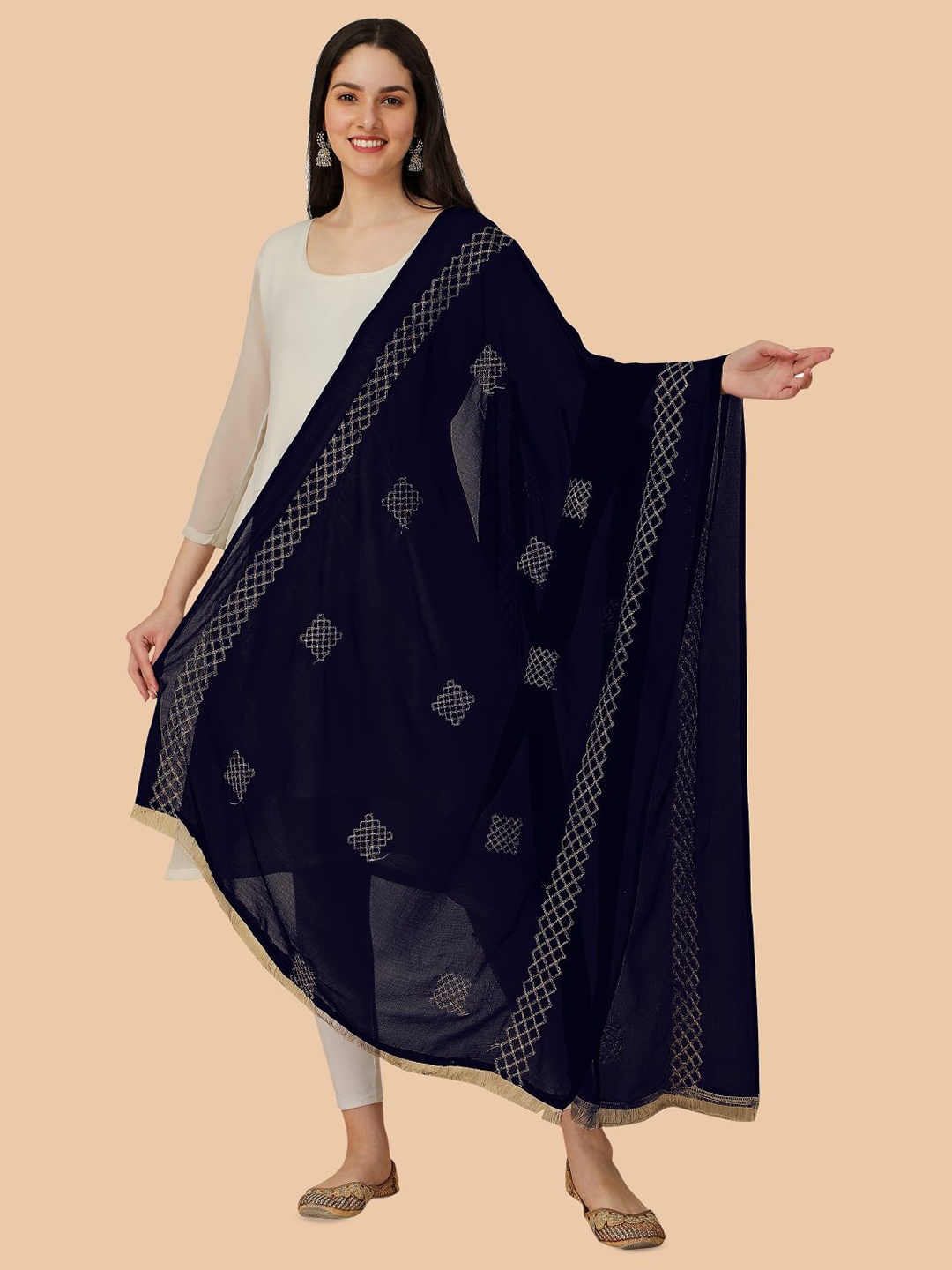 

Dori Geometric Embroidered Chiffon Dupatta with Zari, Navy blue