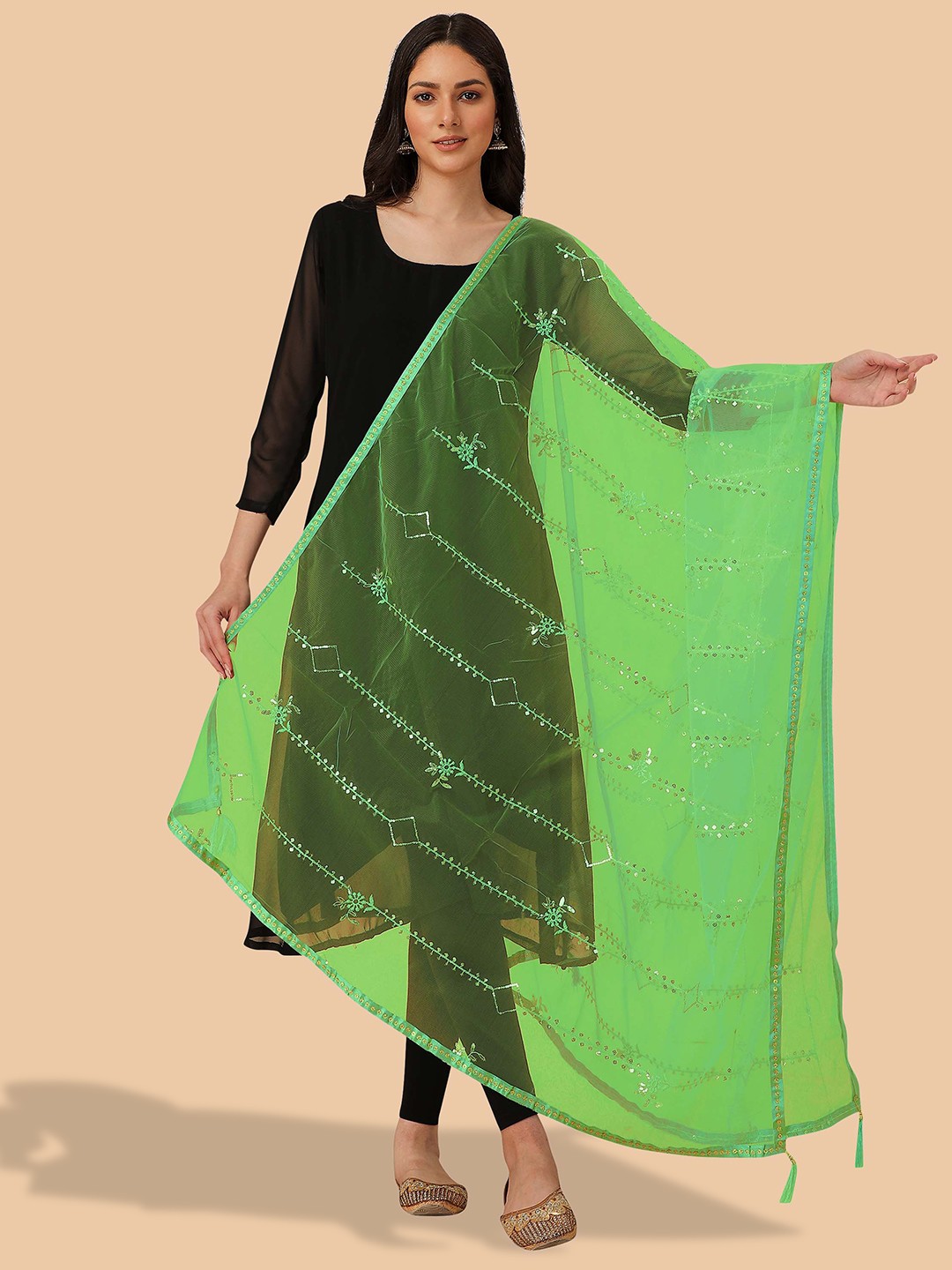 

Dori Geometric Embroidered Net Dupatta with Sequinned, Green