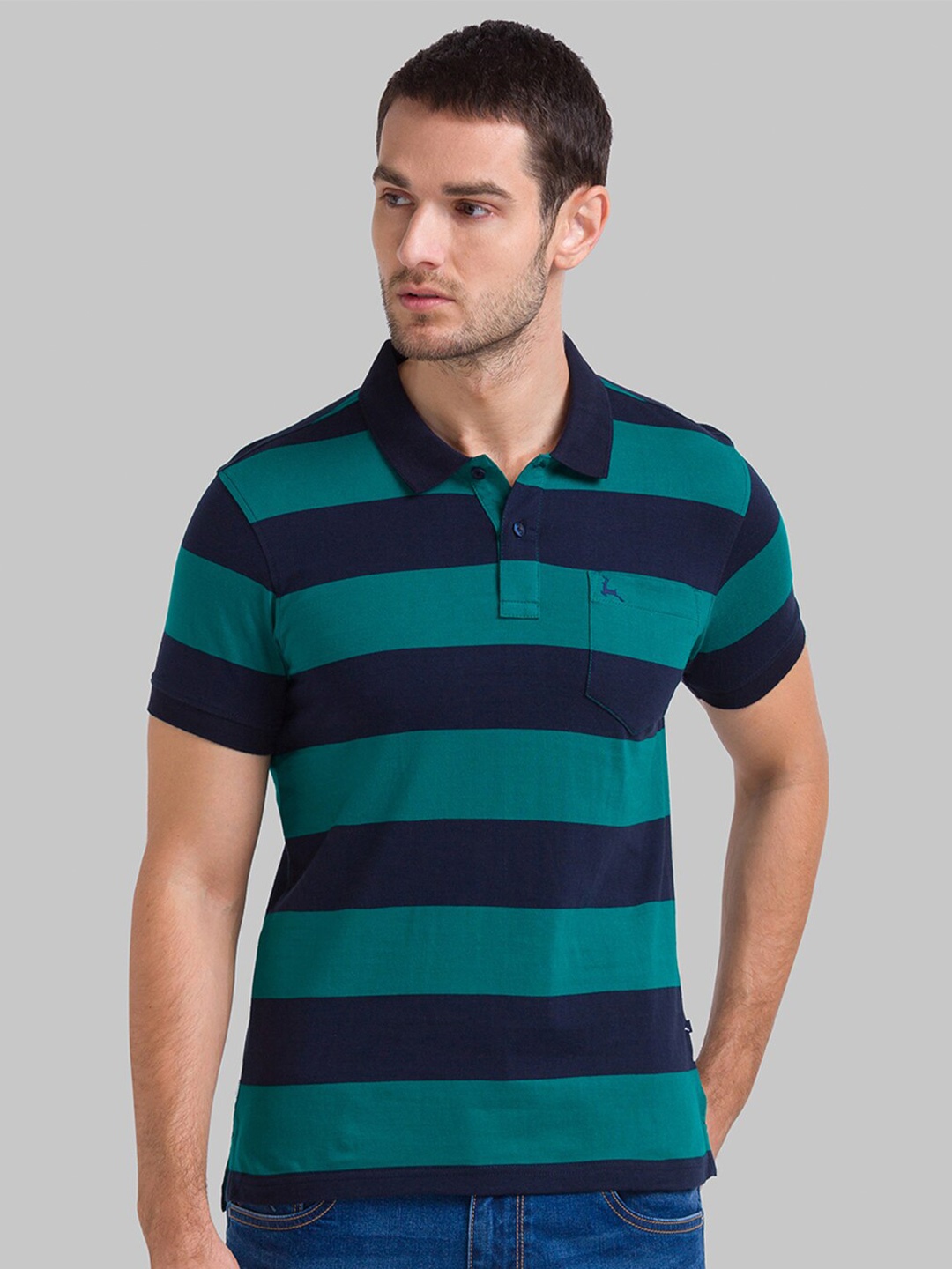

Parx Striped Polo Collar Cotton Regular Fit Casual T-shirt, Green