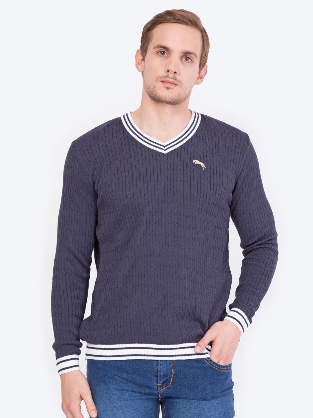 

JUMP USA Men Blue Self Design Pullover