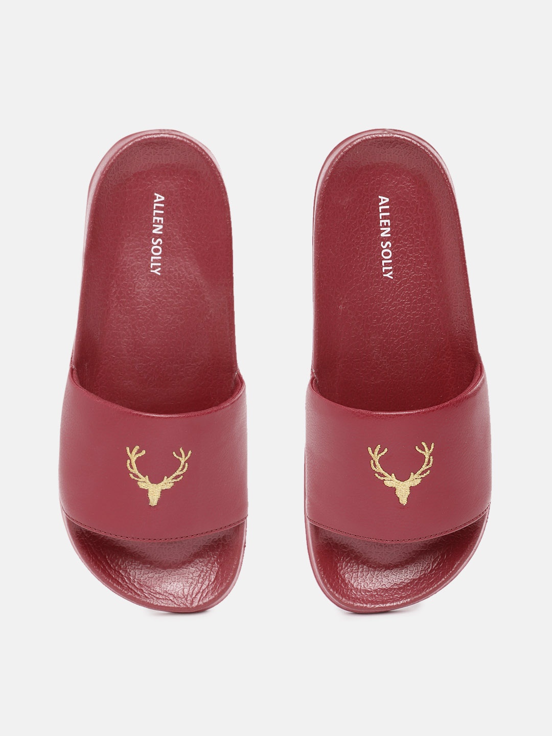 

Allen Solly Women Brand Logo Detail Sliders, Maroon