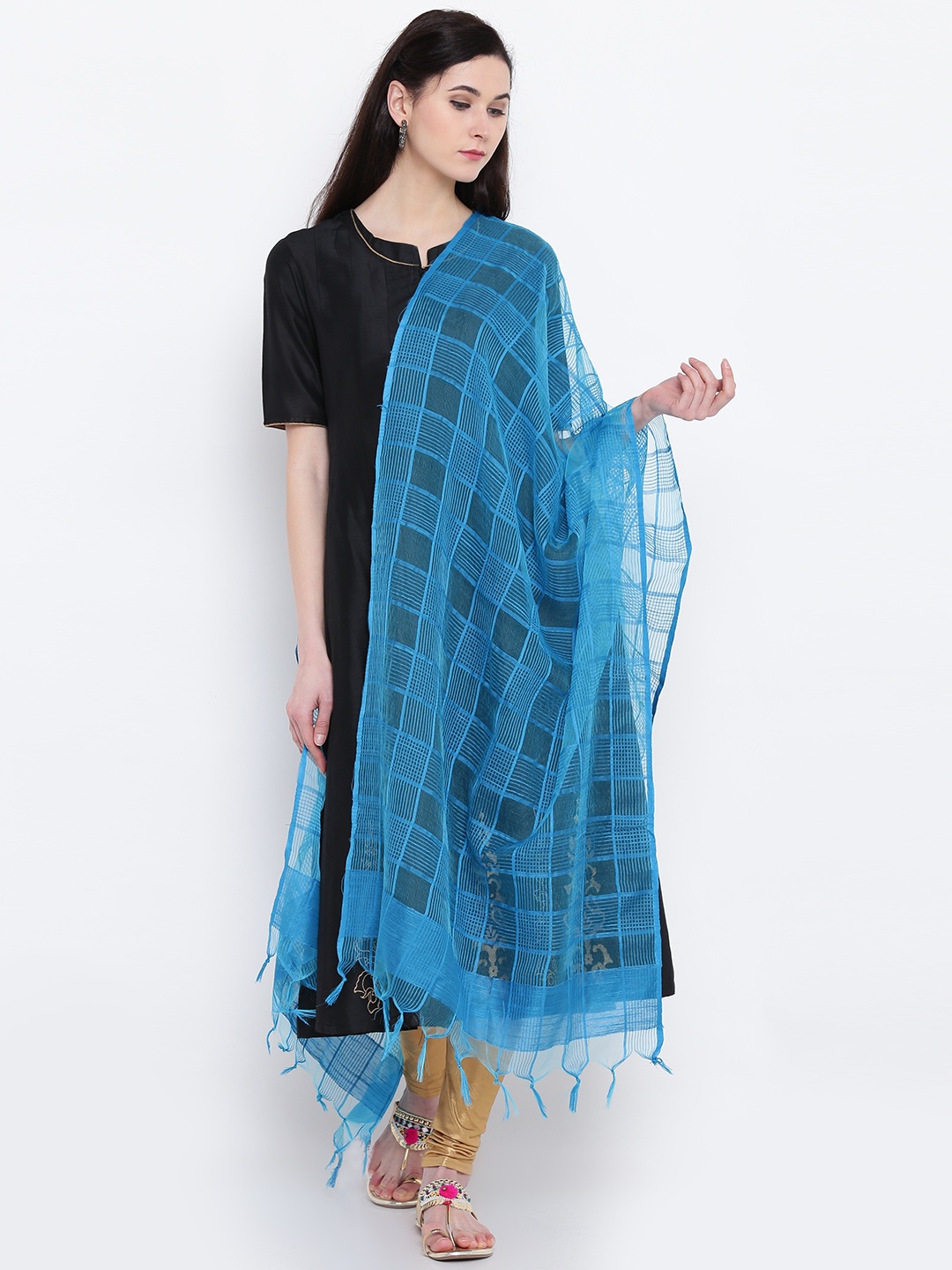 

AURELIA Blue Checked Dupatta