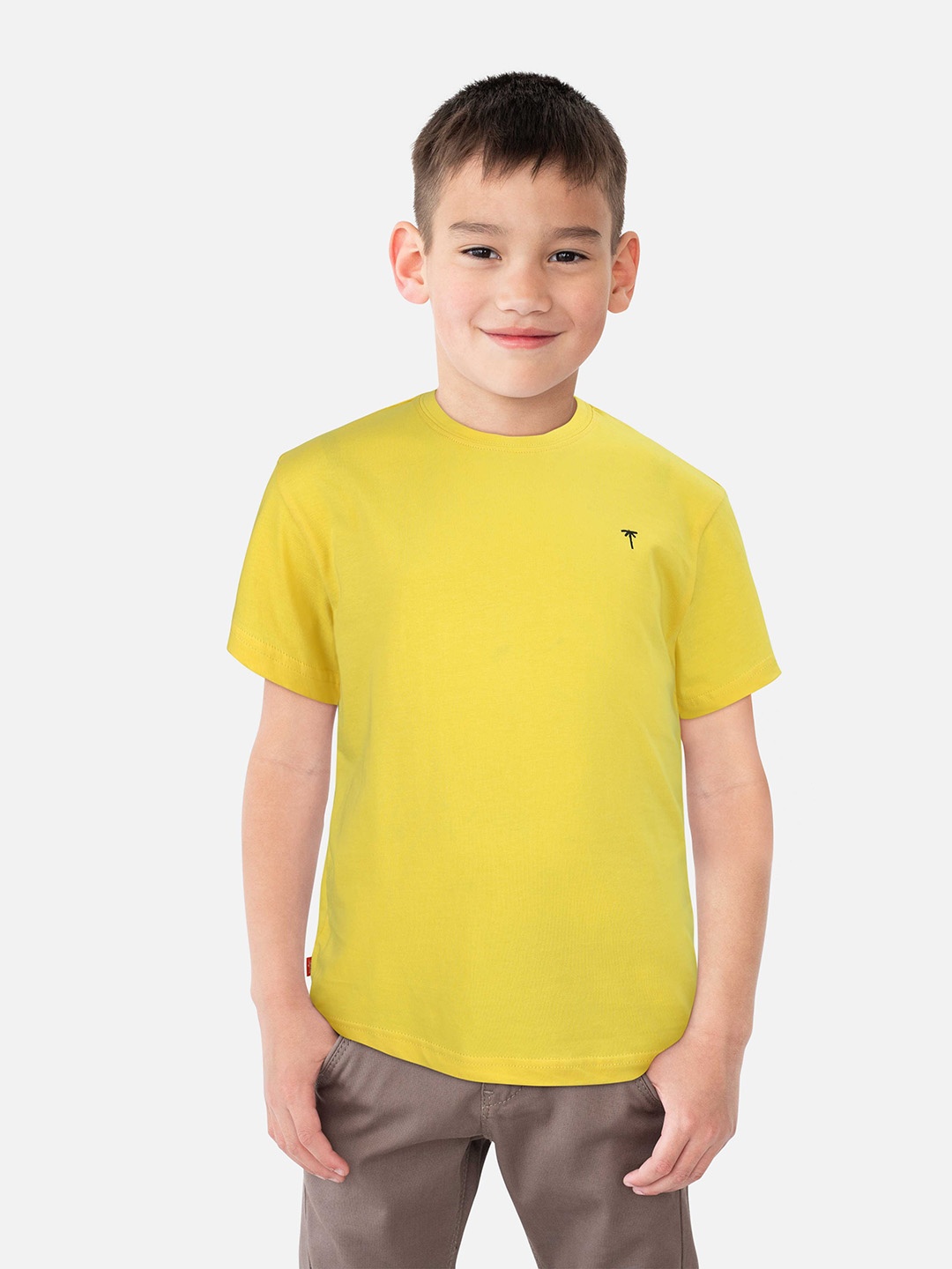 

Palm Tree Boys Round Neck Cotton T-shirt, Mustard