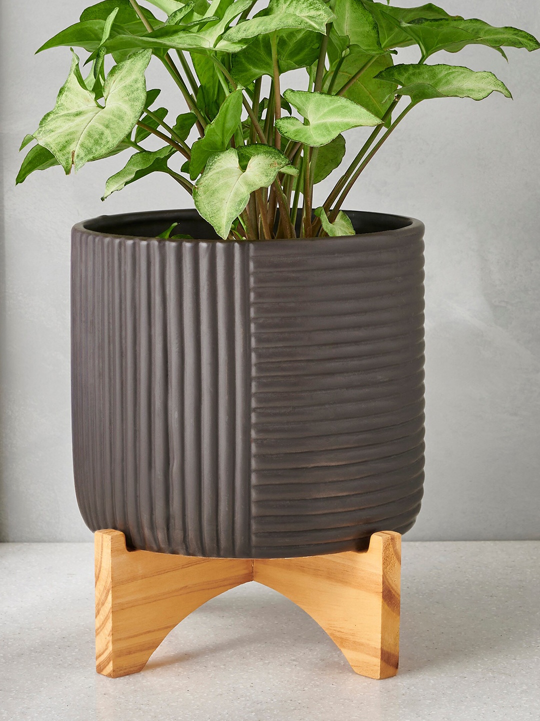 

Home Centre Gloria Brown & Beige Ceramic Planter with Wooden Stand