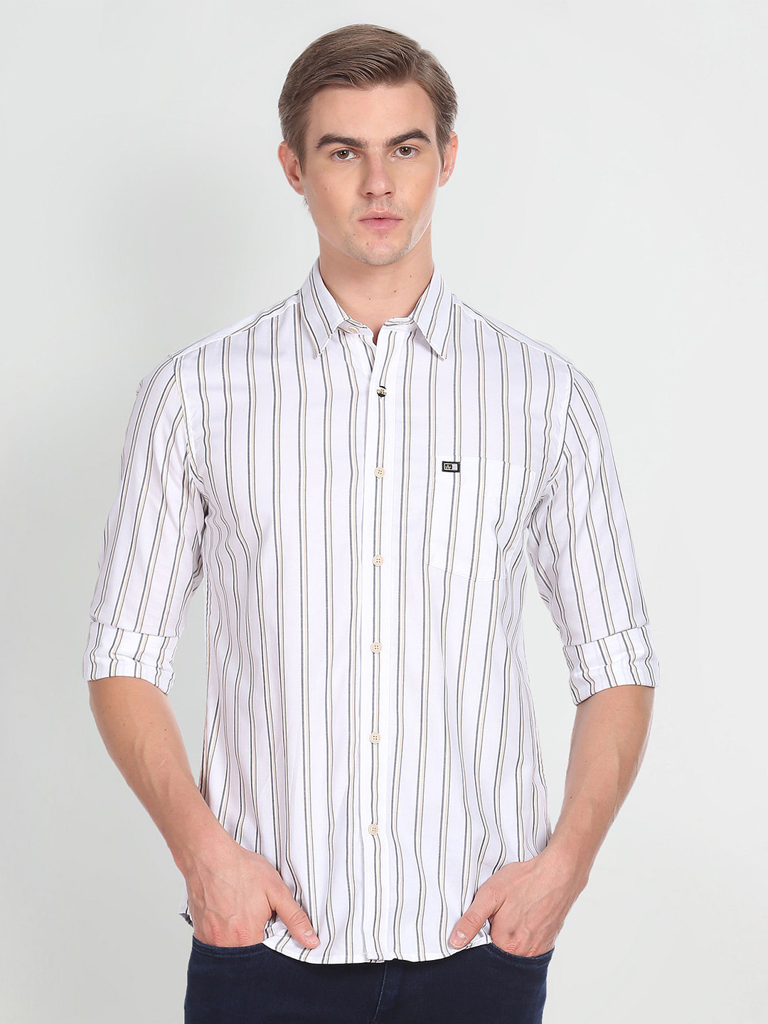 

Arrow Vertical Striped Regular Fit Spread Collar Opaque Cotton Casual Shirt, White