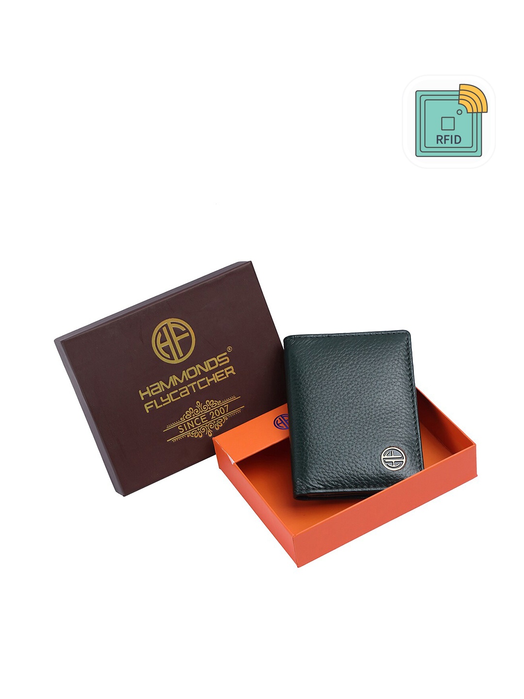 

HAMMONDS FLYCATCHER Men Textured RFID Protected Leather Card Holder, Green