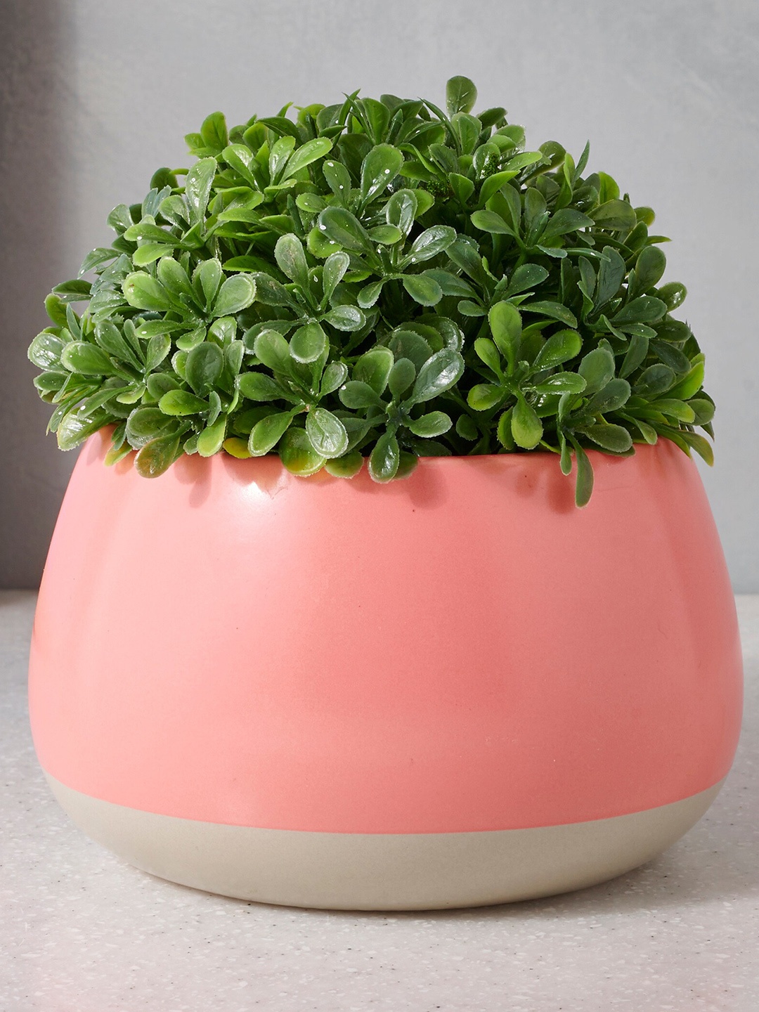 

Home Centre Pink Garnet Grace Ceramic Planter