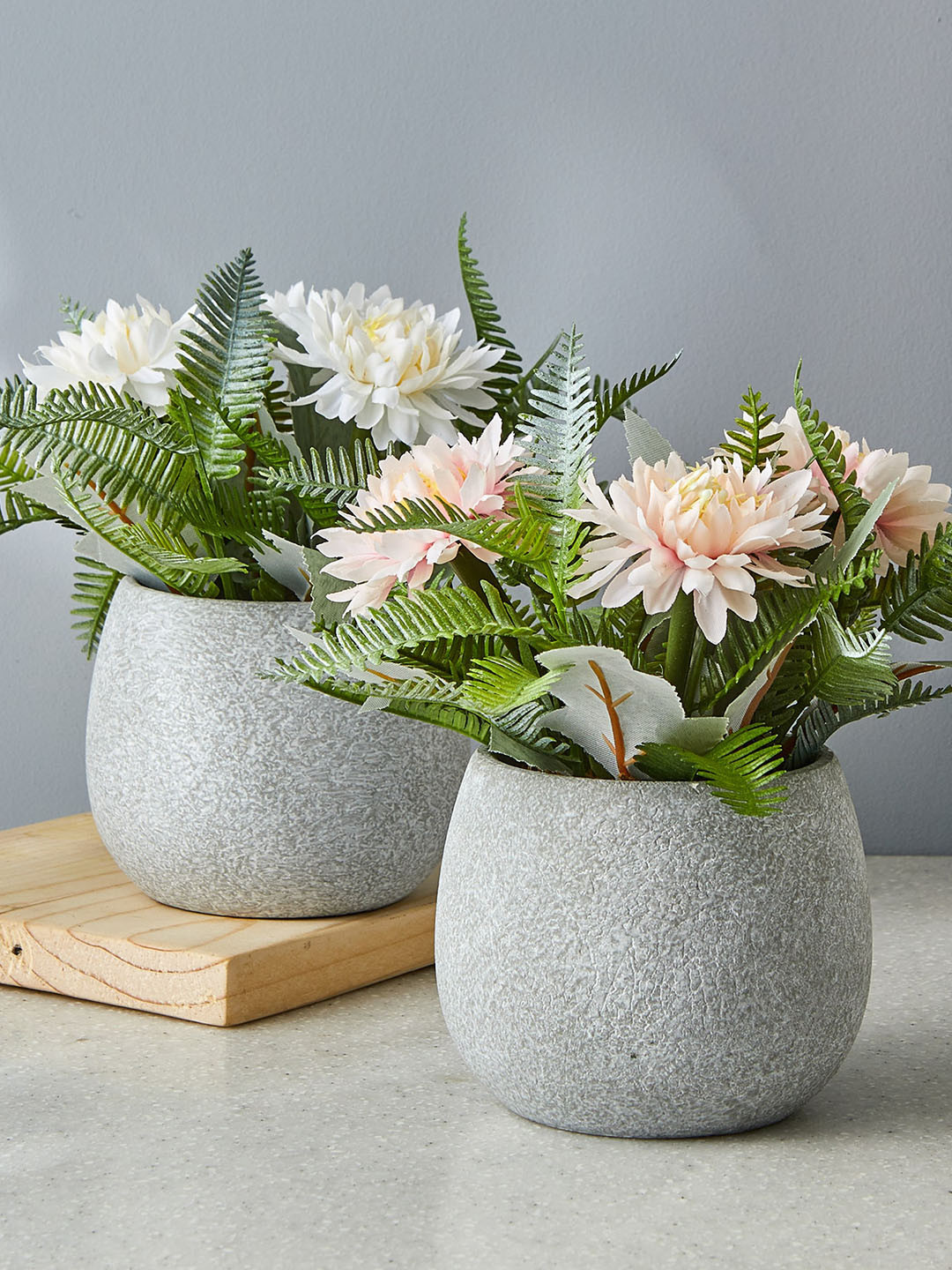 

Home Centre White & Green Artificial Gloria Flower In Paper Pot