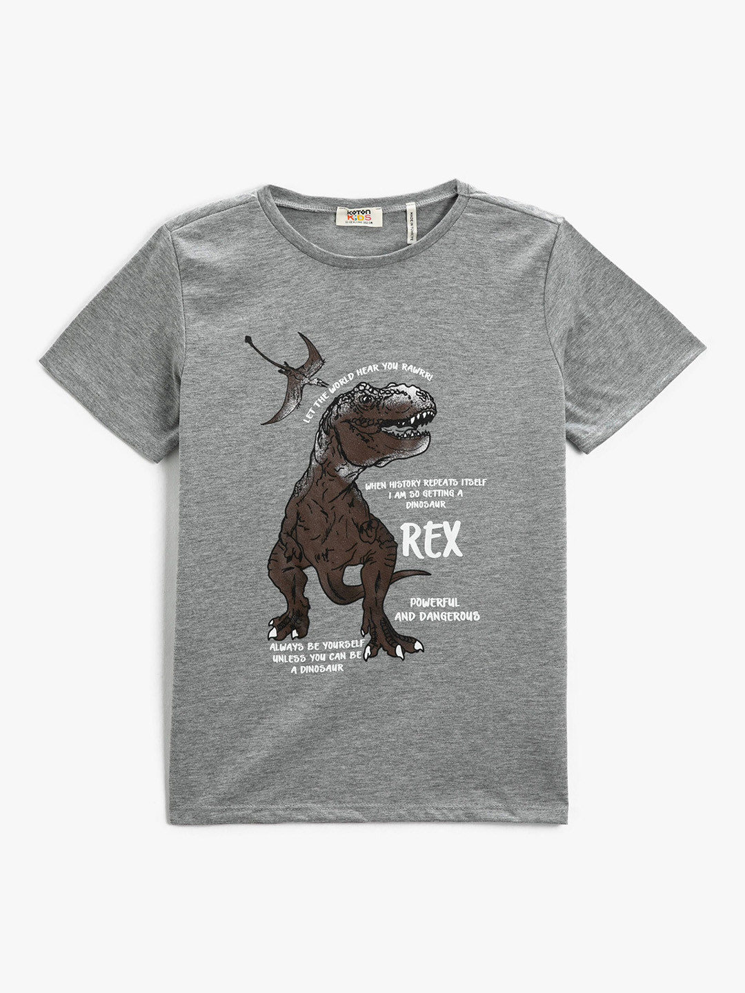 

Koton Boys Graphic Printed Round Neck Regular T-shirt, Grey