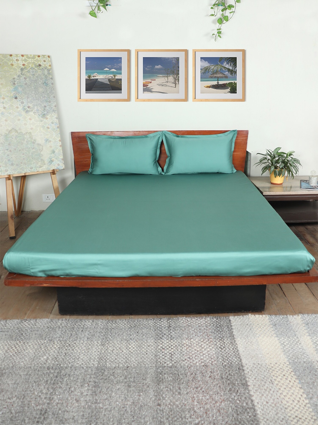 

ZEBA Green Cotton 400 TC King Bedsheet With 2 Pillow Covers