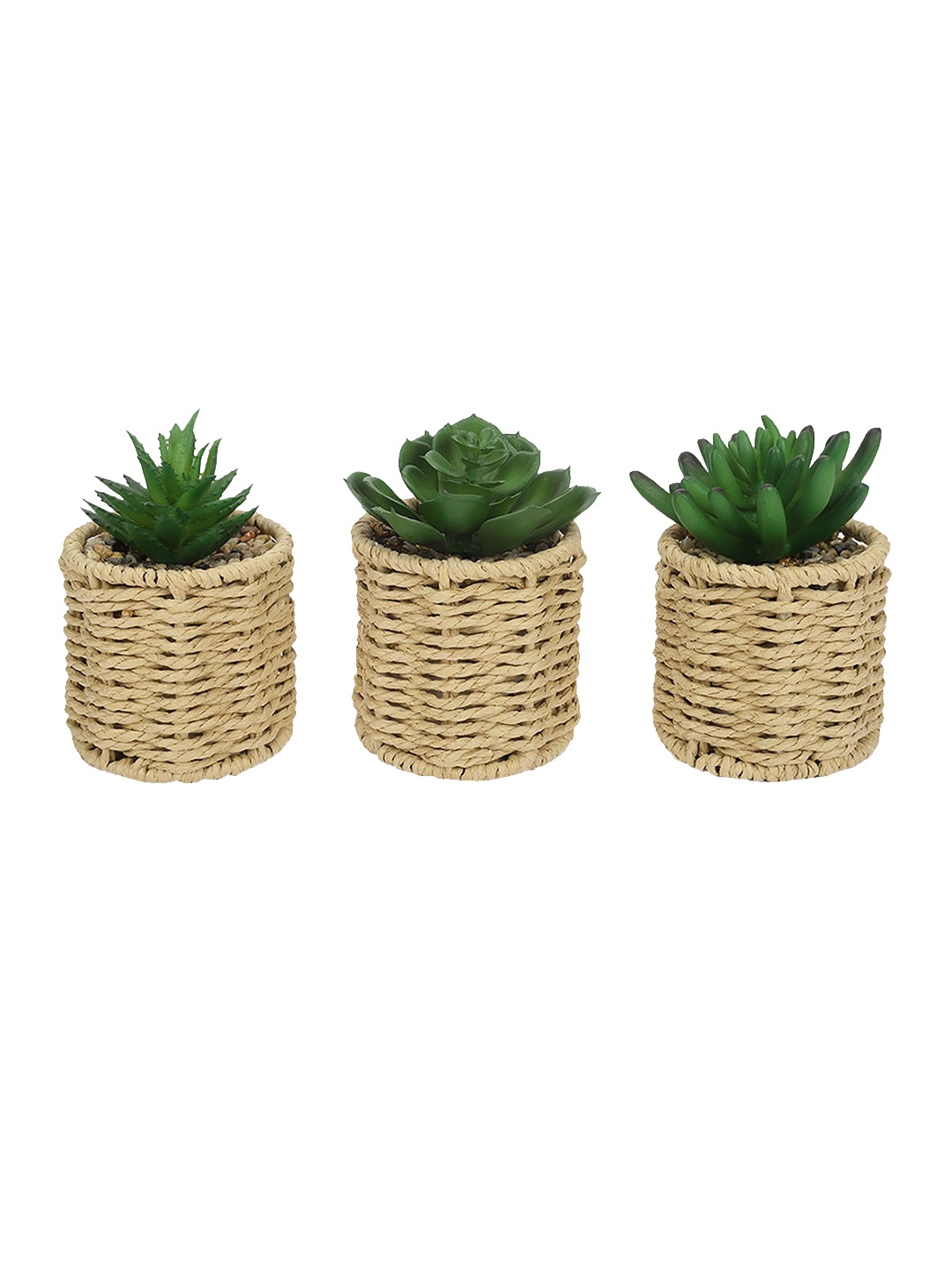 

Anko Beige 3-Pieces Artificial Succulents Plants In Rattan Look Pot