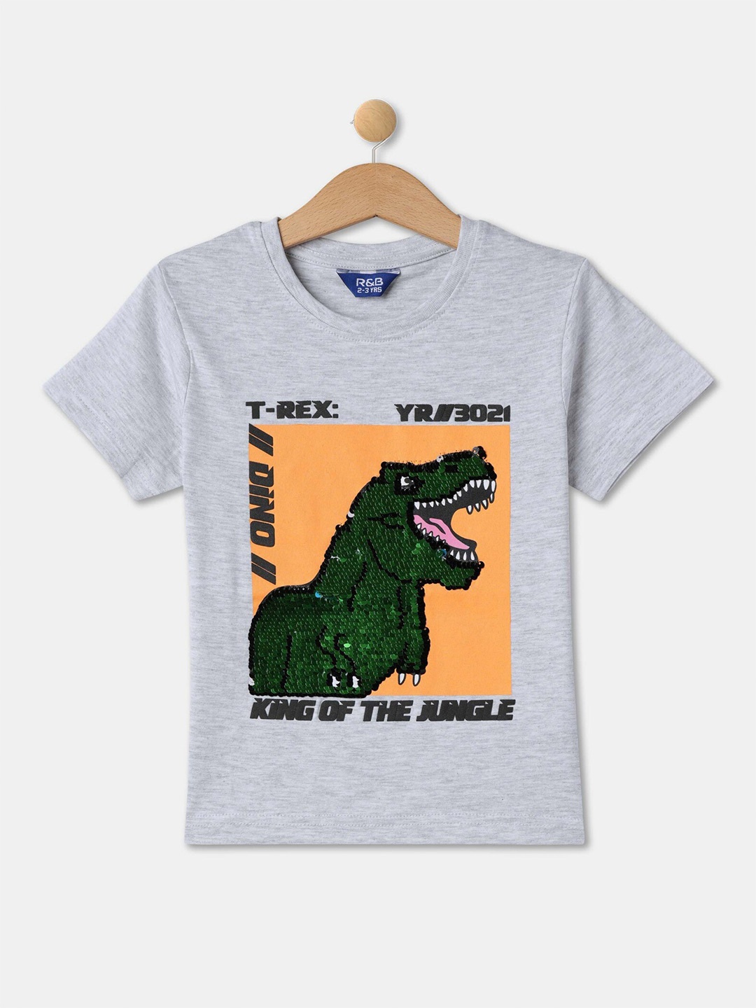 

R&B Boys Printed Cotton T-shirt, Grey