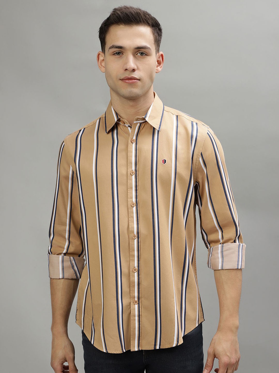 

Iconic Vertical Striped Pure Cotton Casual Shirt, Brown