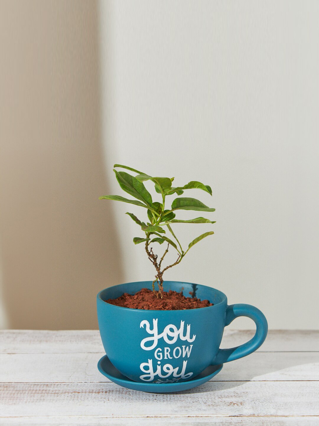 

Chumbak Teal Blue You Grow Girl Printed Planter