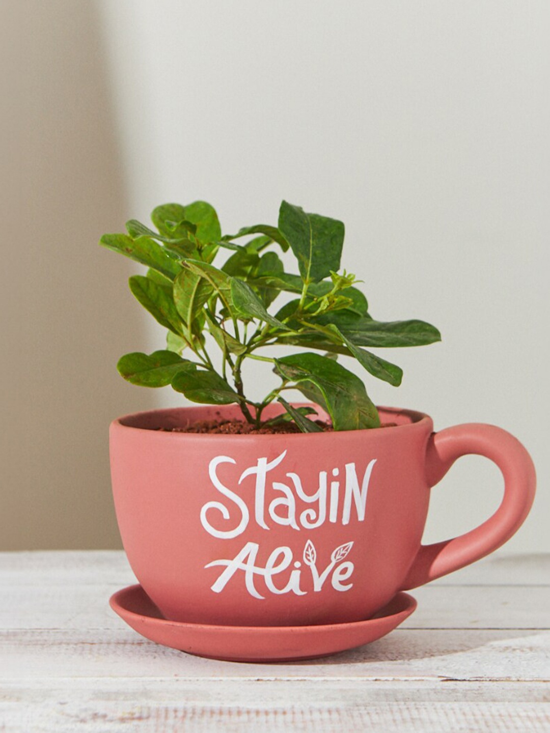 

Chumbak Coral Pink Stayin Alive Printed Planter