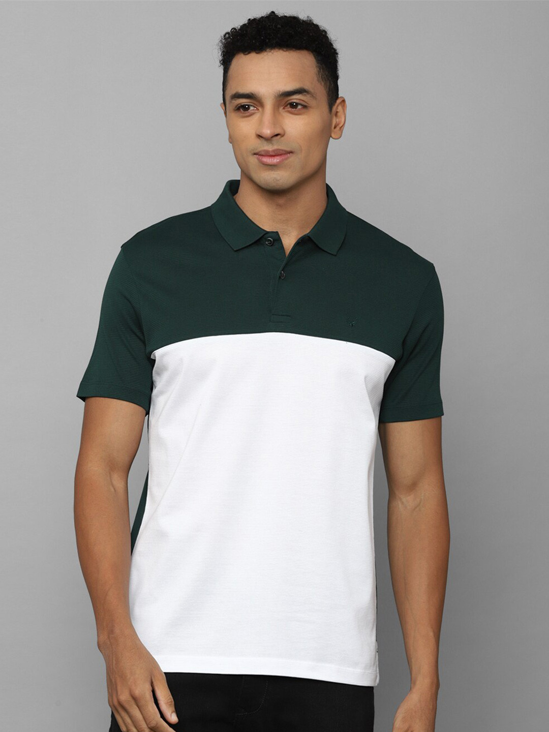 

Allen Solly Colourblocked Polo Collar Pure Cotton T-shirt, Green