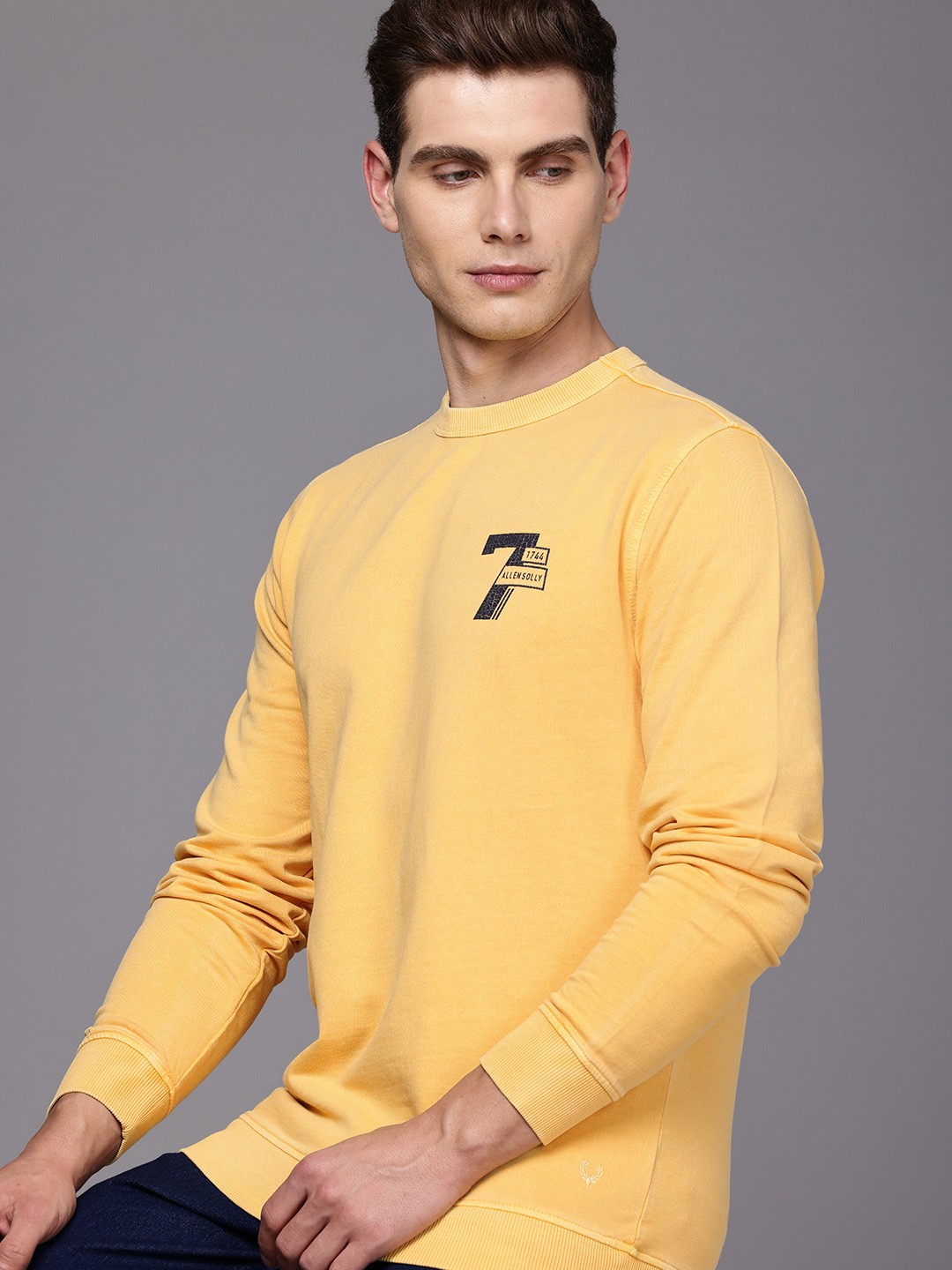

Allen Solly Sport Pure Cotton Sweatshirt, Yellow