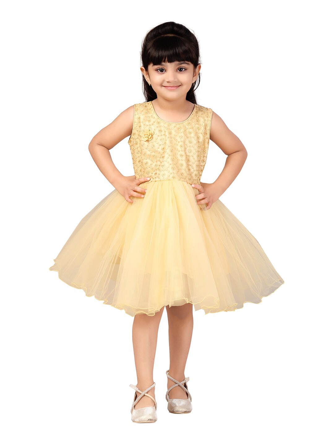 

Aarika Girls Sleeveless Net Fit & Flare Dress, Beige