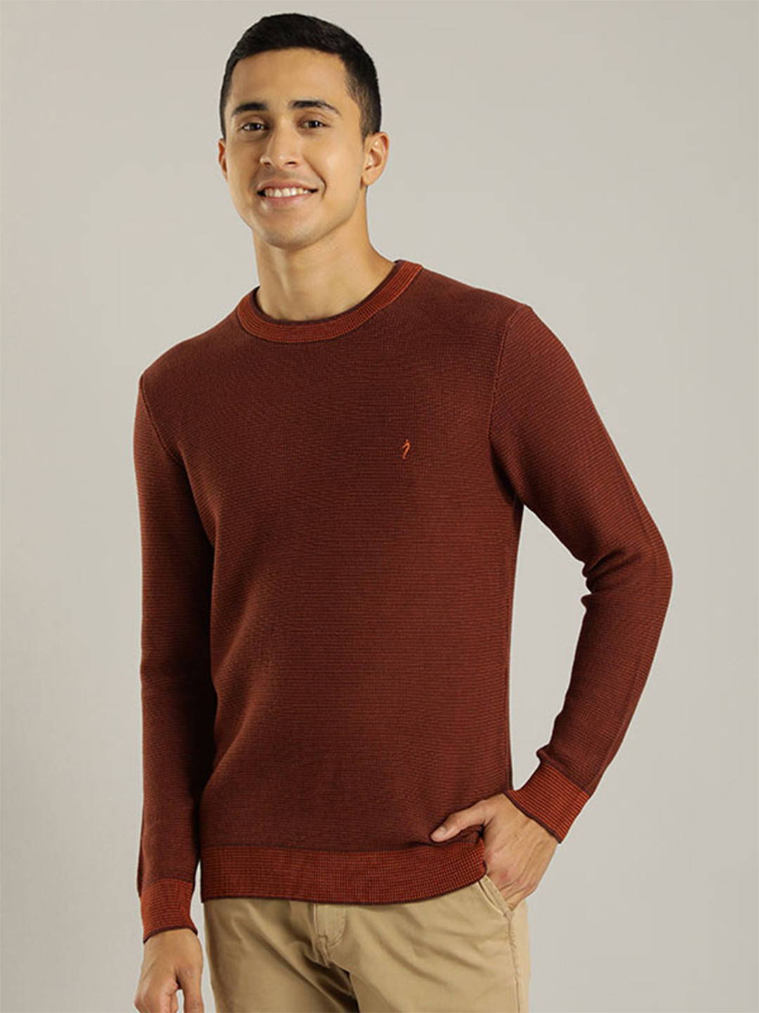 

Indian Terrain Round Neck Pure Cotton Pullover, Brown
