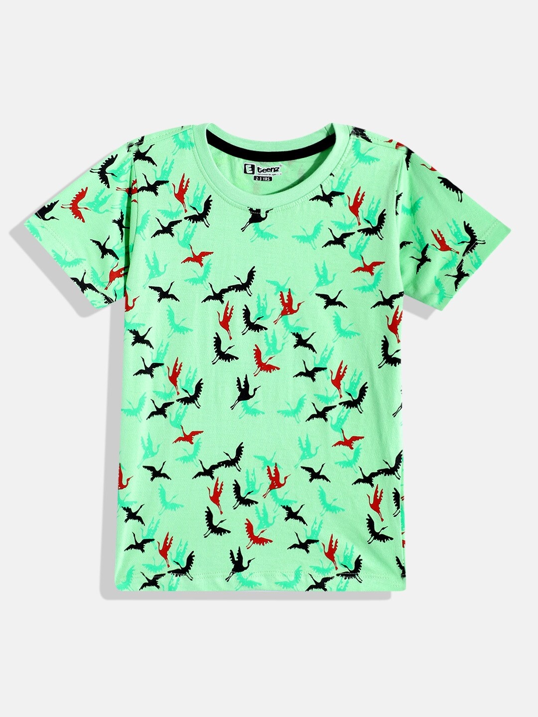 

Eteenz Boys Conversational Printed Pure Cotton T-shirt, Green