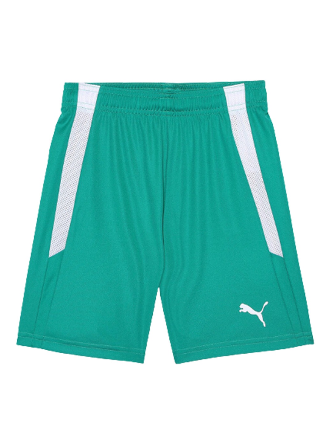 

Puma Kids teamLIGA Logo Printed dryCELL Football Sports Shorts, Sea green