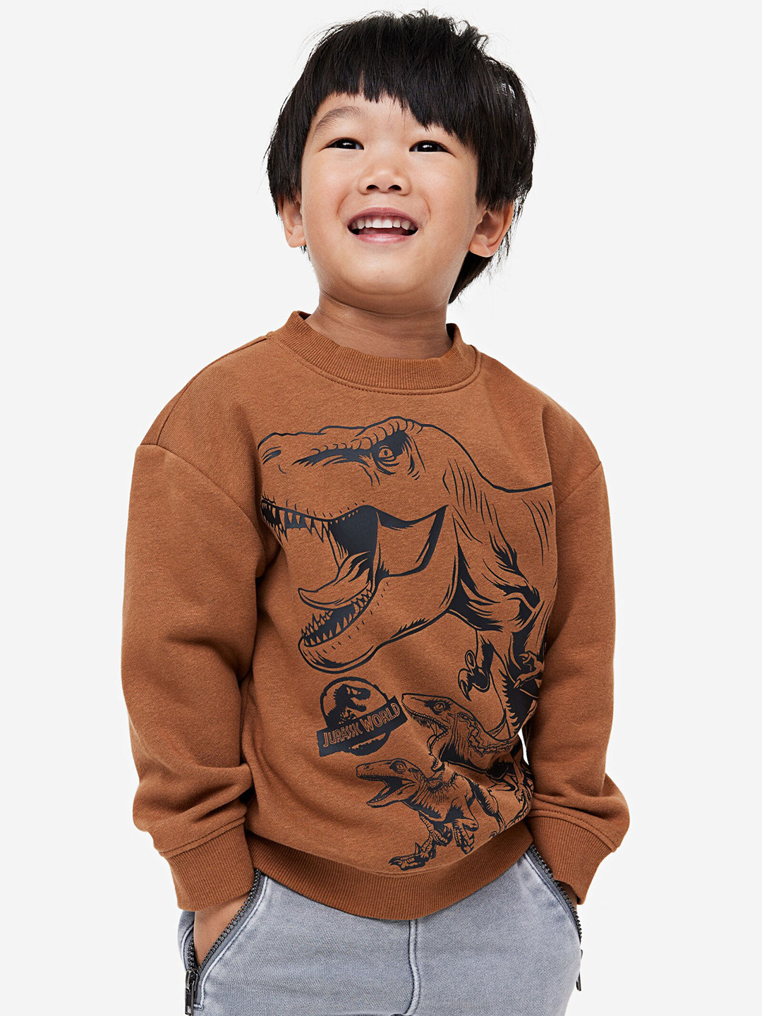 

H&M Boys Printed Sweatshirt, Brown
