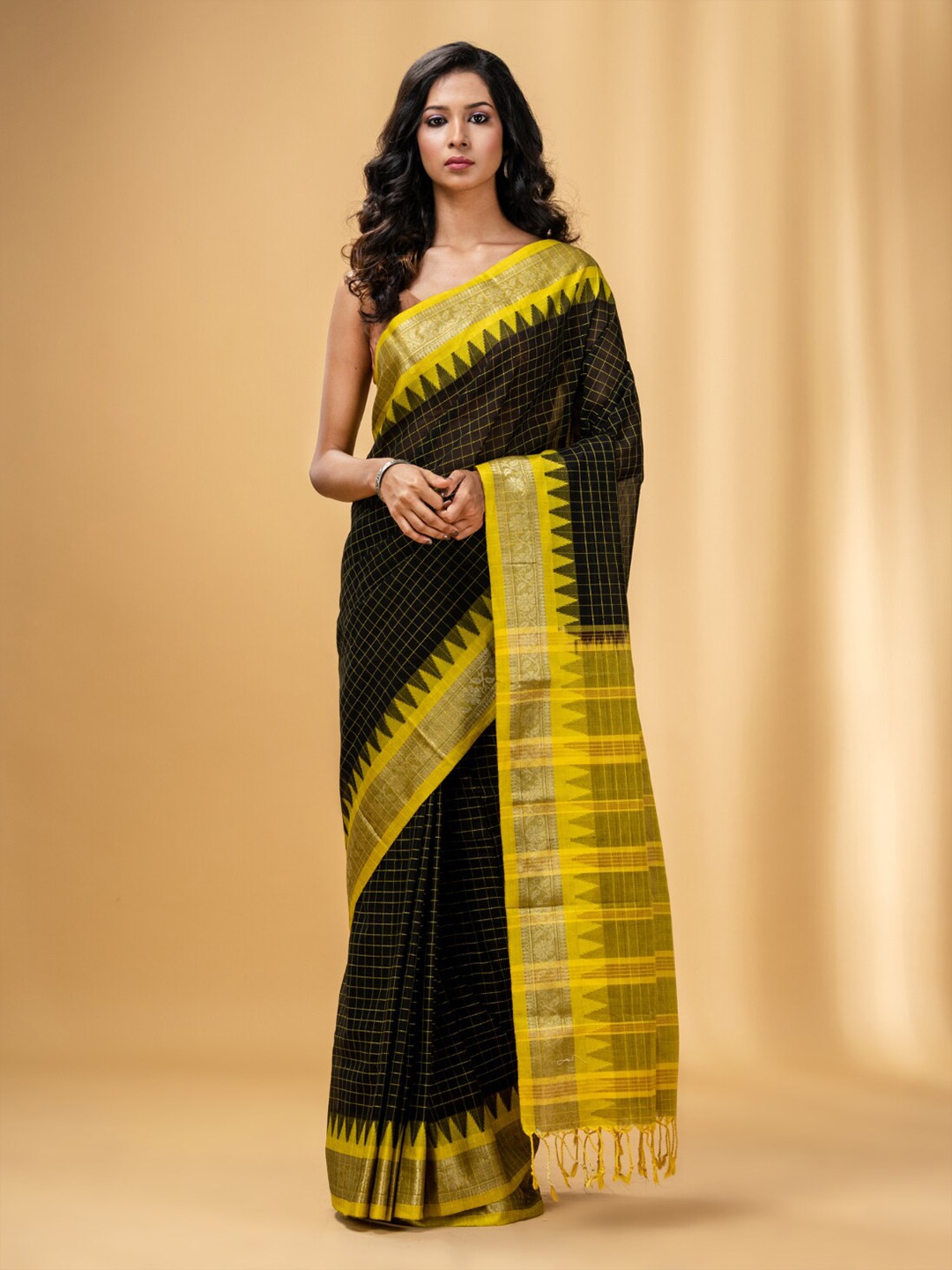 

Charukriti Checked Woven Design Zari Pure Cotton Saree, Black
