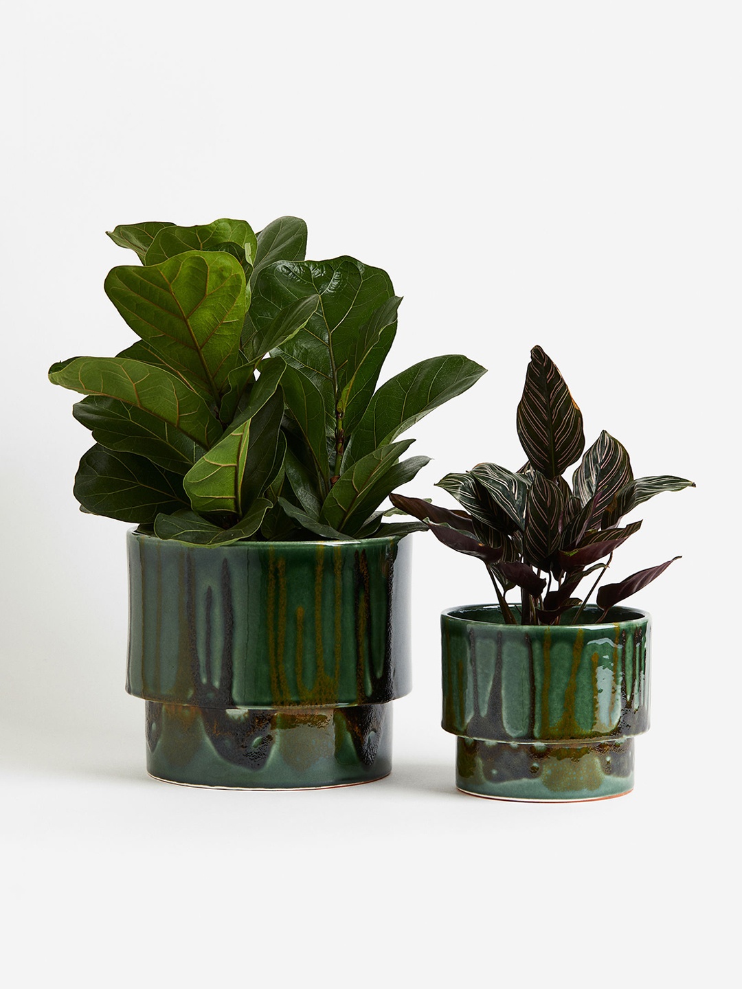 

H&M Green Extra-Large Terracotta Plant Pot