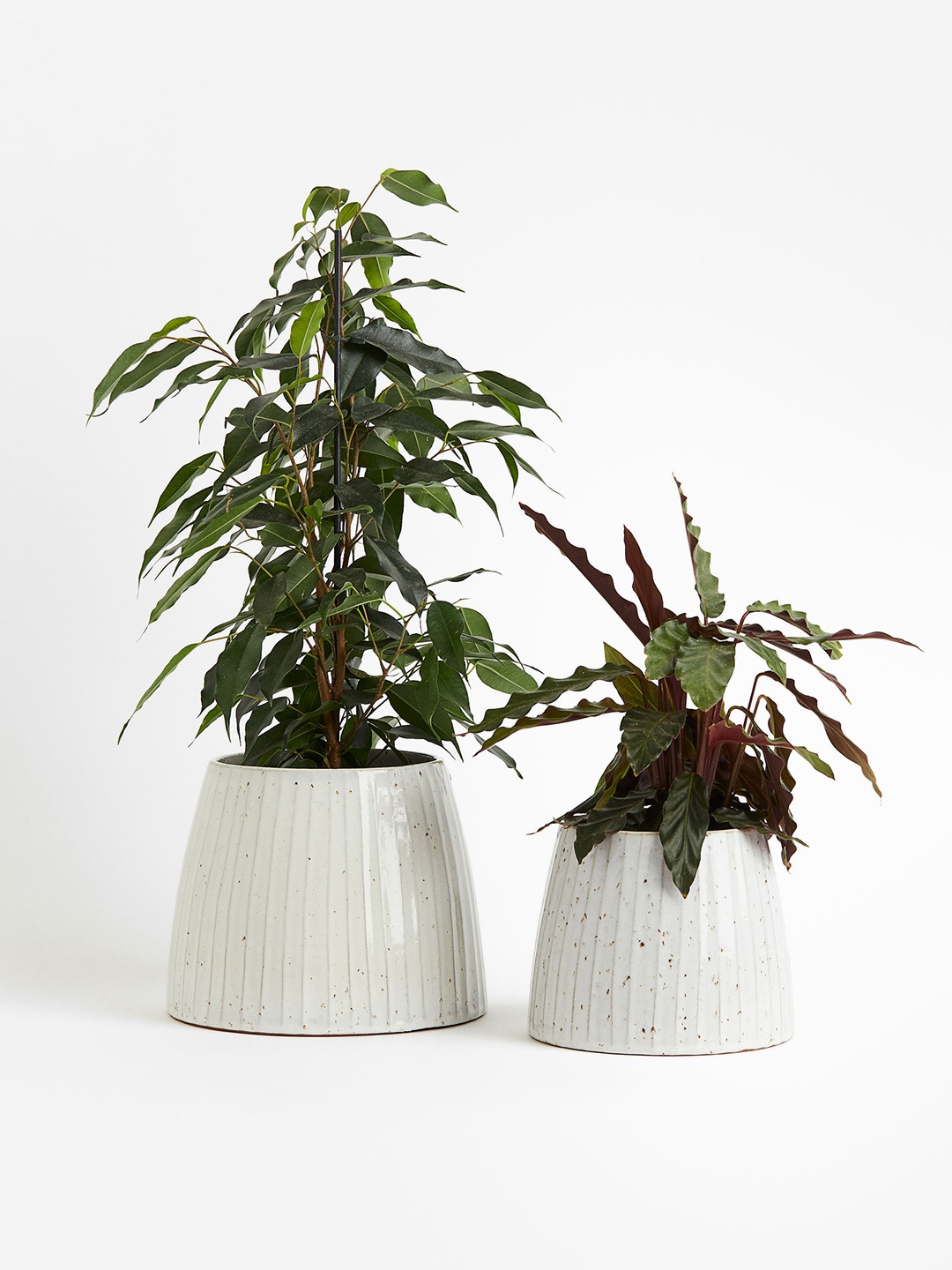 

H&M White Small Terracotta Plant Pot